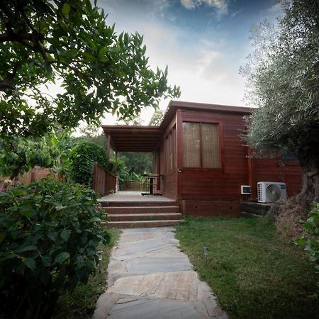 El Jardin Del Eden Villa Orgiva Bagian luar foto